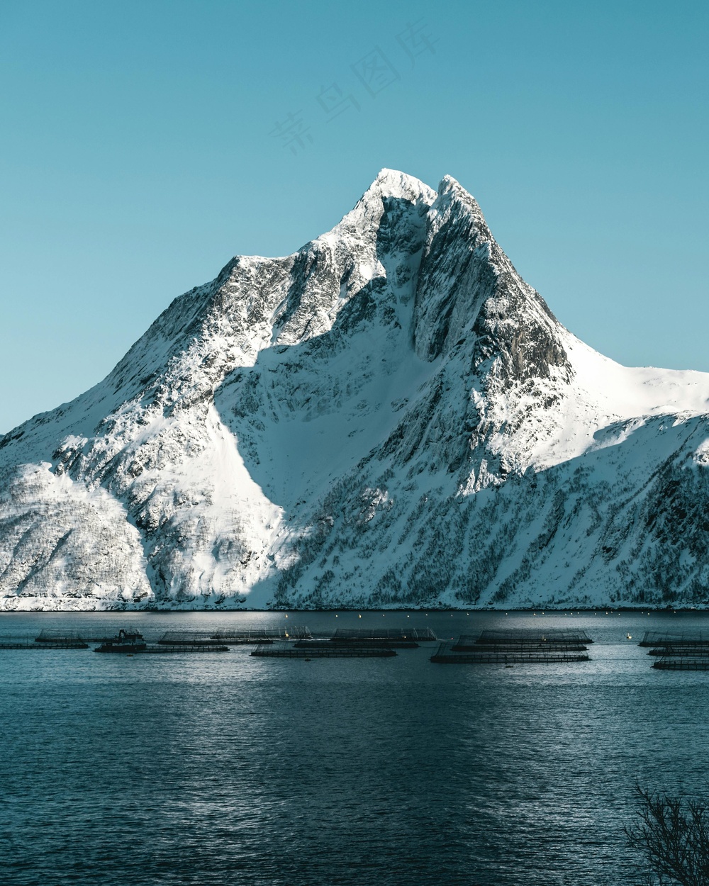 雪峰映水养殖忙