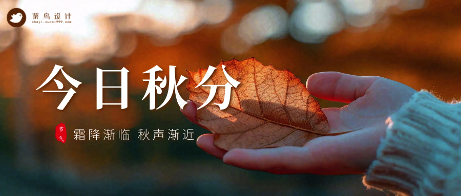 秋分公众号首图