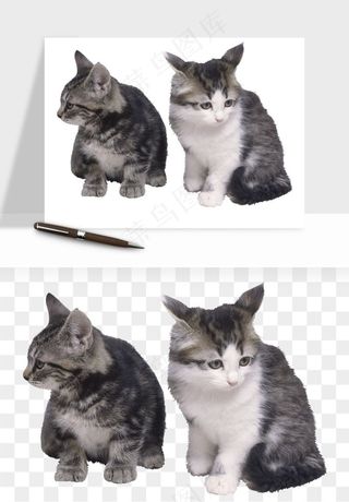 猫咪喵星人狗狗宠物元素png免抠