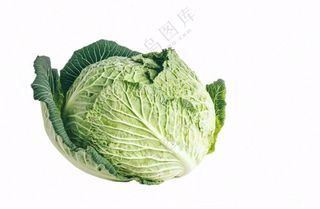 青菜蔬菜包菜免抠
