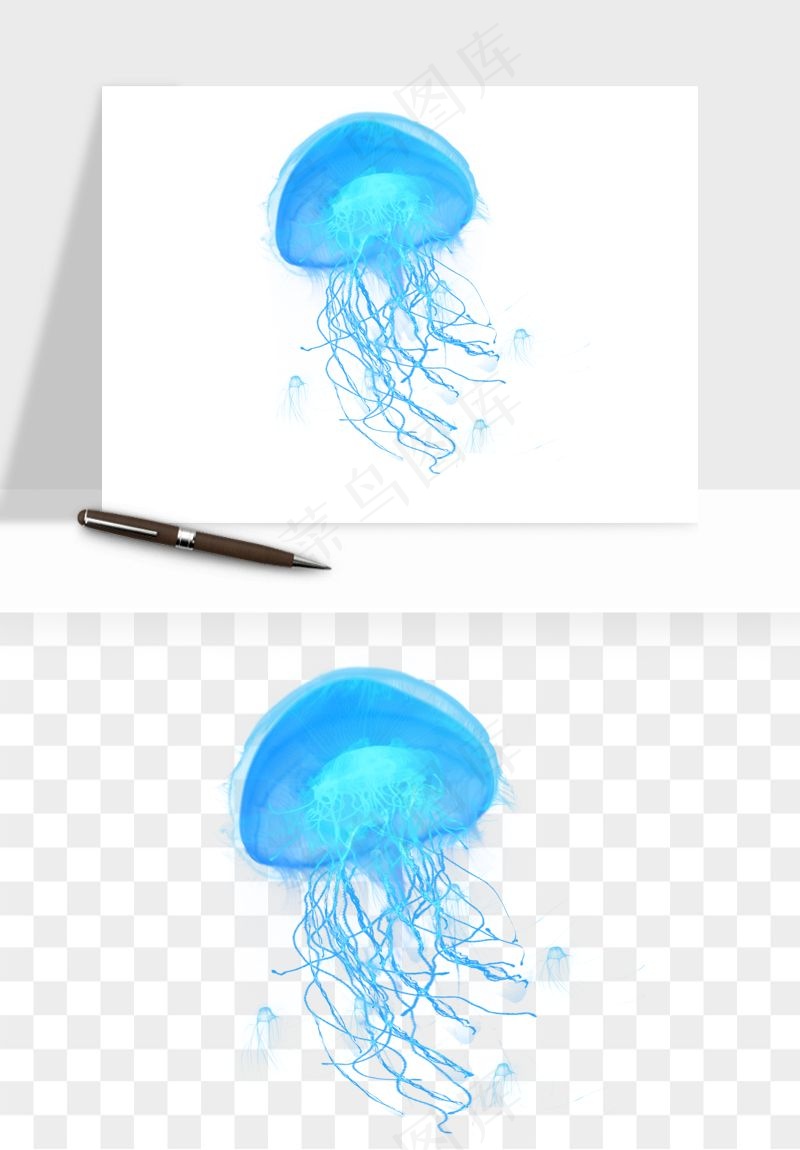 水母章鱼海底生物png免抠图