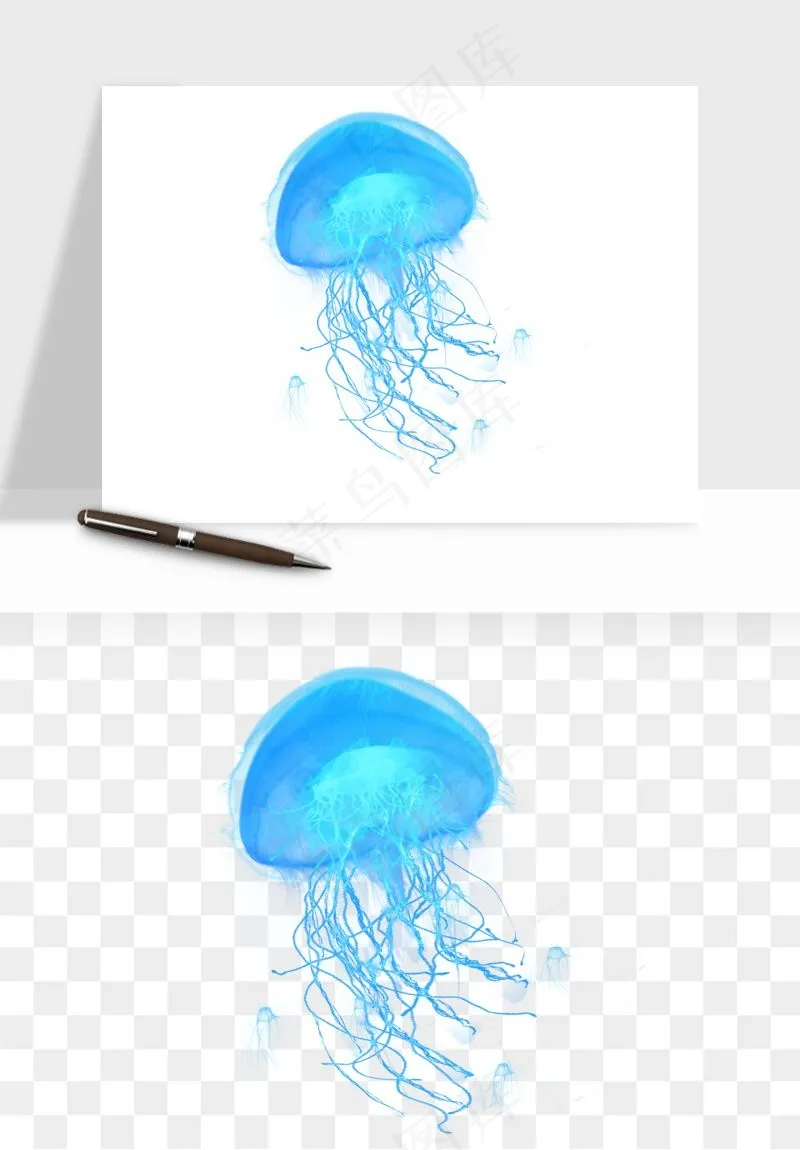 水母章鱼海底生物png免抠图