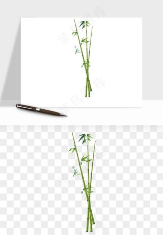 手绘竹子竹叶png免抠