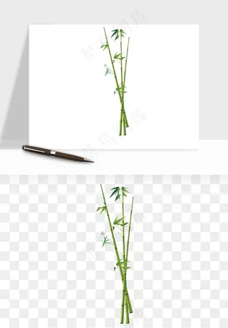 手绘竹子竹叶png免抠