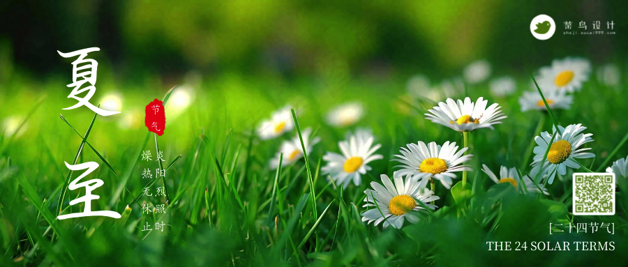 夏至公众号首图