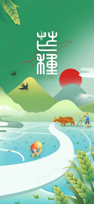 清新插画芒种节气传统活动海报