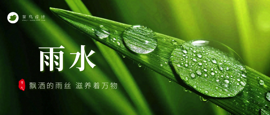 白露公众号首图