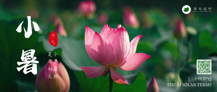小暑公众号首图
