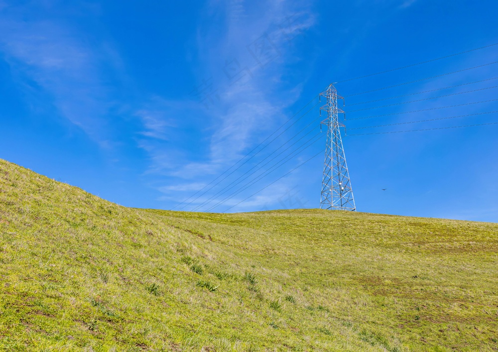 蓝天下的金色麦田