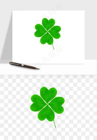 手绘四叶草幸运植物png免抠
