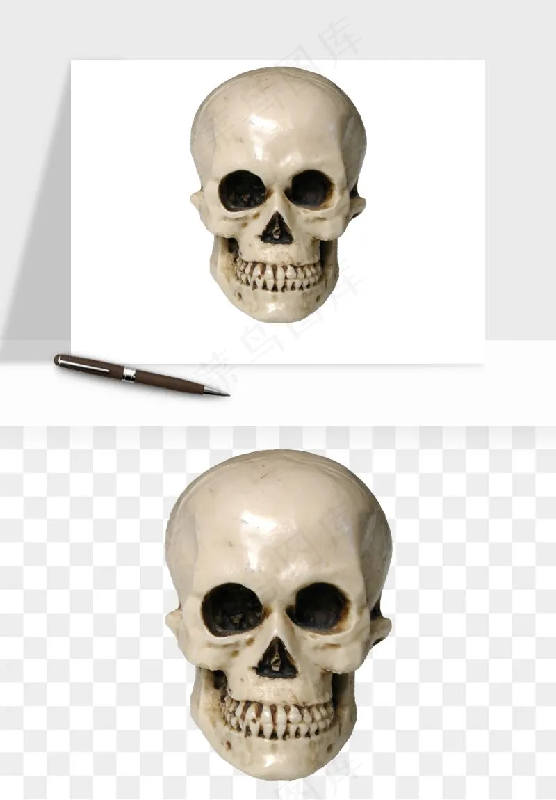 人体骨头png免抠