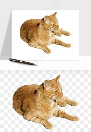 猫咪喵星人狗狗宠物元素png免抠