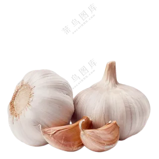 大蒜头与蒜瓣主题元素免抠图片素材