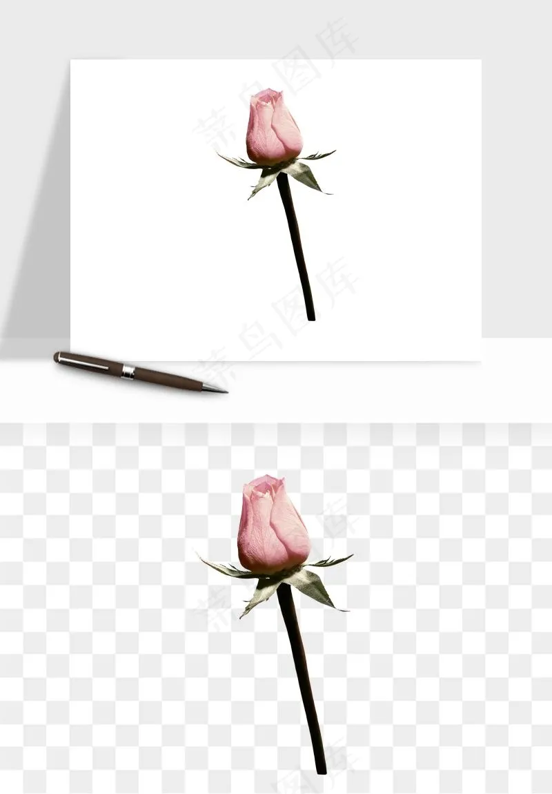 复古鲜花玫瑰png免抠