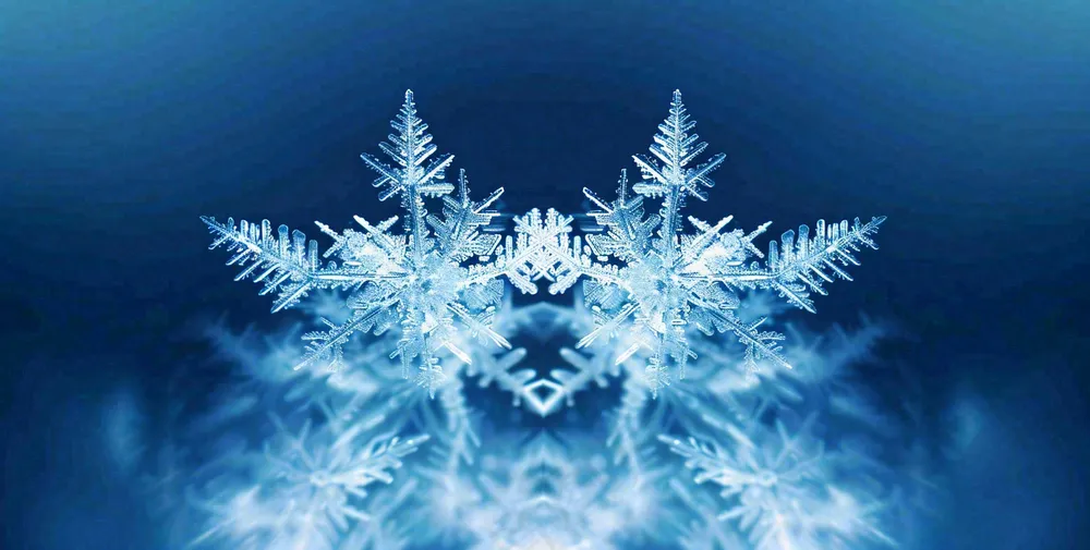 冬季雪花水晶蓝色寒冷小寒大寒大雪摄影图