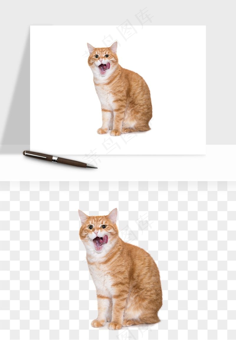 猫咪喵星人狗狗宠物元素png免抠