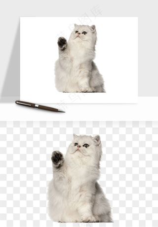 猫咪喵星人狗狗宠物元素png免抠