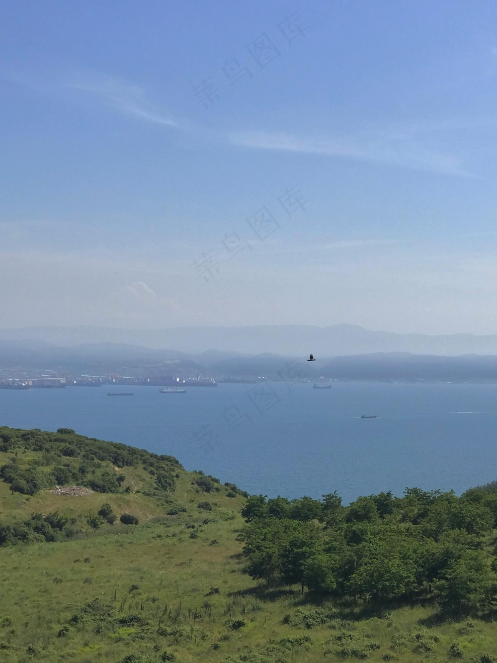 静谧海湾：自然绿意与蓝色航线的和谐