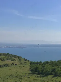 静谧海湾：自然绿意与蓝色航线的和谐