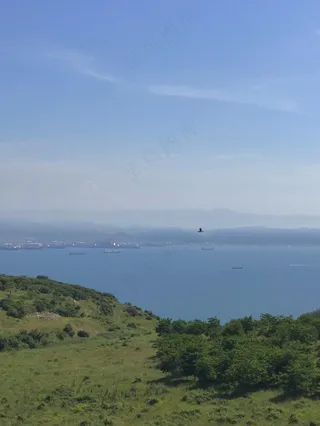 静谧海湾：自然绿意与蓝色航线的和谐