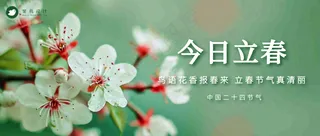 立春公众号首图