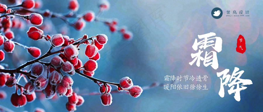 霜降公众号首图