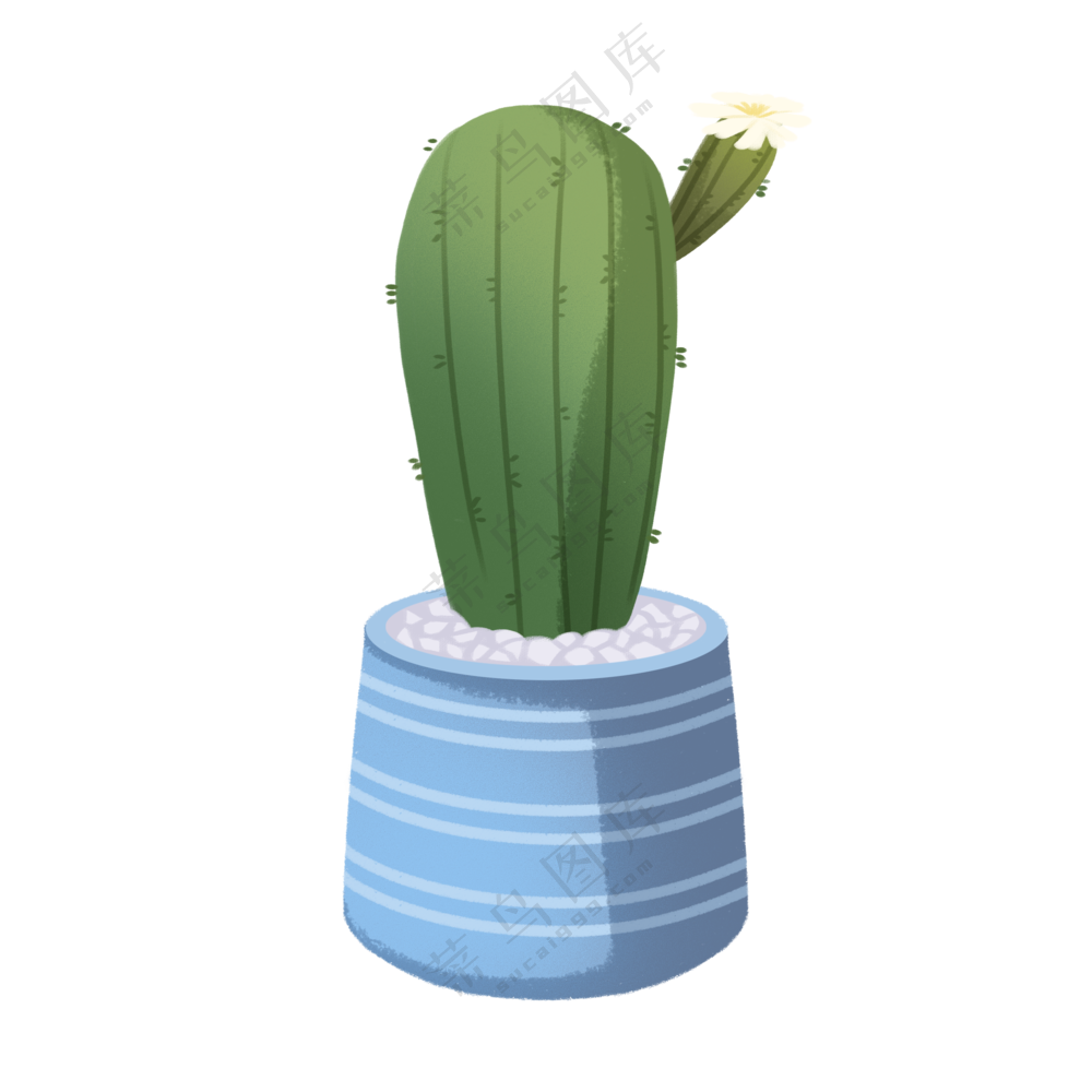 仙人掌手绘插画植物插画免扣png