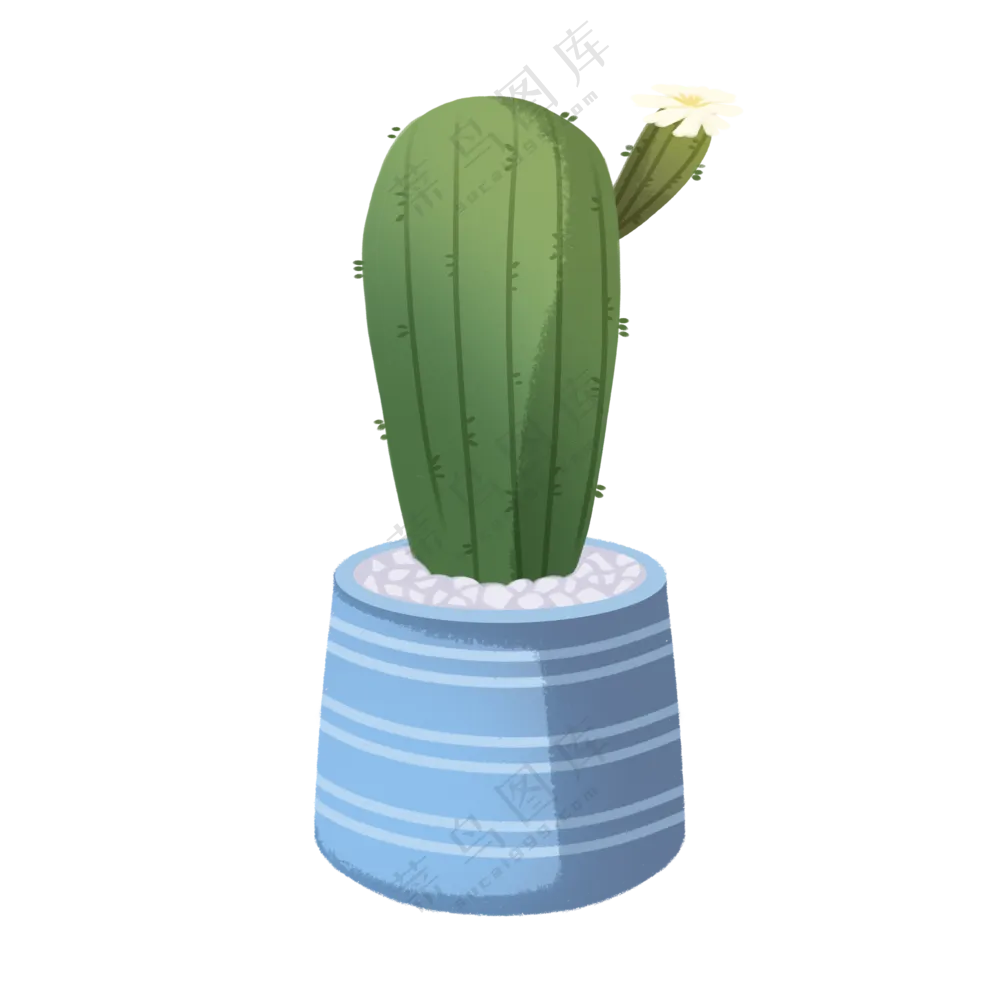 仙人掌手绘插画植物插画免扣png