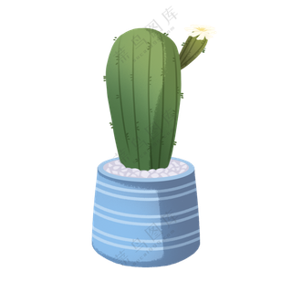 仙人掌手绘插画植物插画免扣png