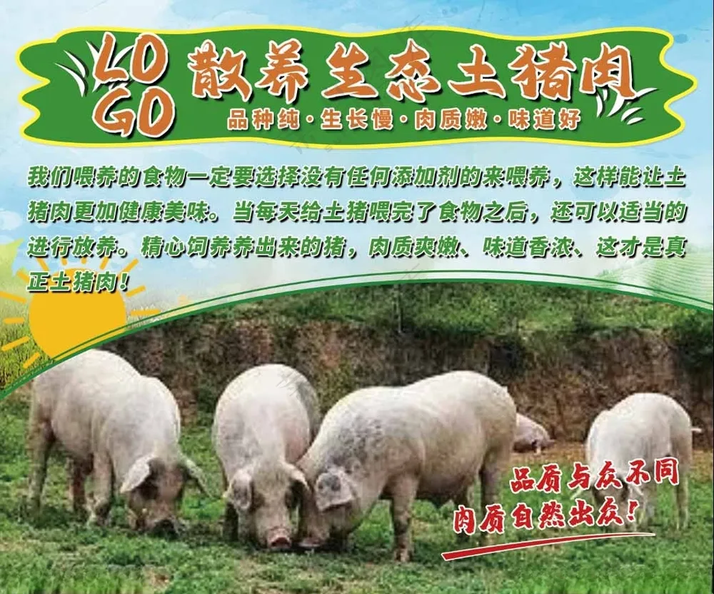 土猪肉 散养猪 生态猪 海报 农作物PSD
