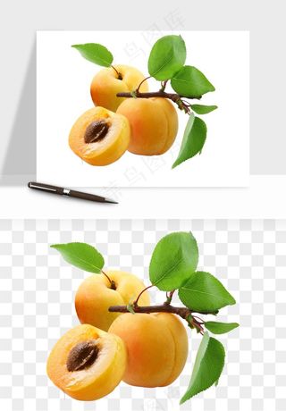 桃子油桃黄桃水果png免抠