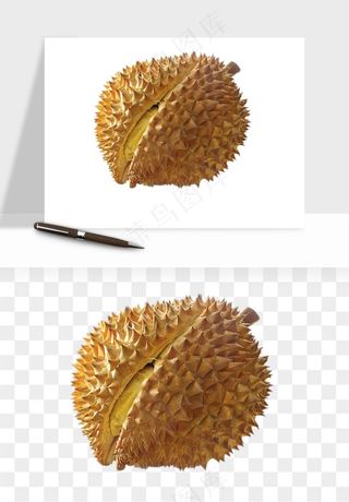 榴莲果肉水果png免抠