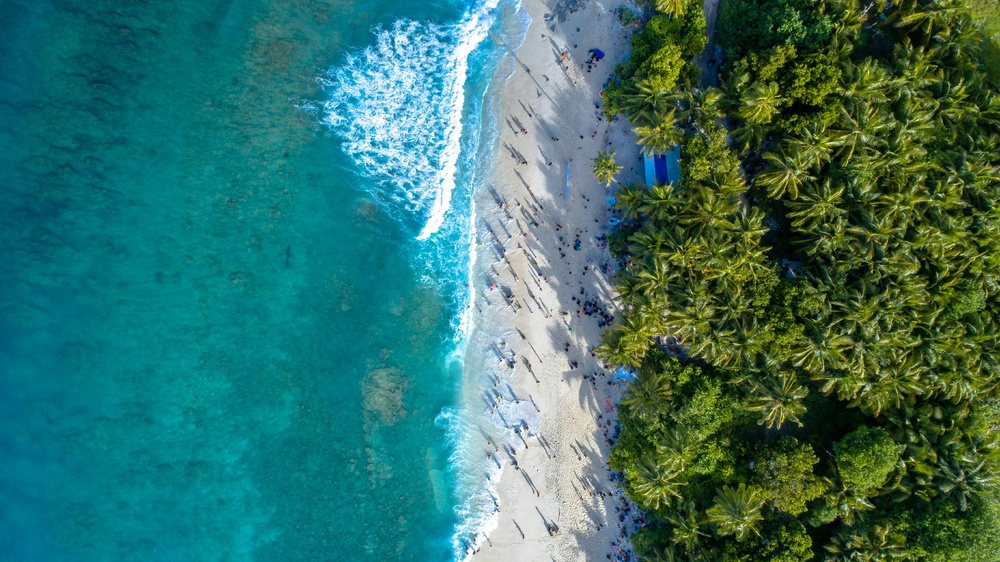 翠绿海岸线上的宁静瞬间