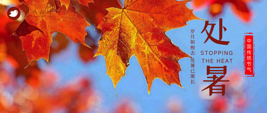 处暑公众号首图