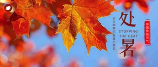 处暑公众号首图