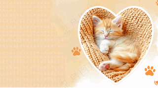 宠物常识宠物攻略猫狗卡通插画背景