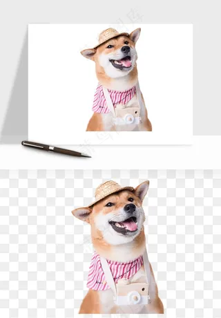 猫咪喵星人狗狗宠物元素png免抠