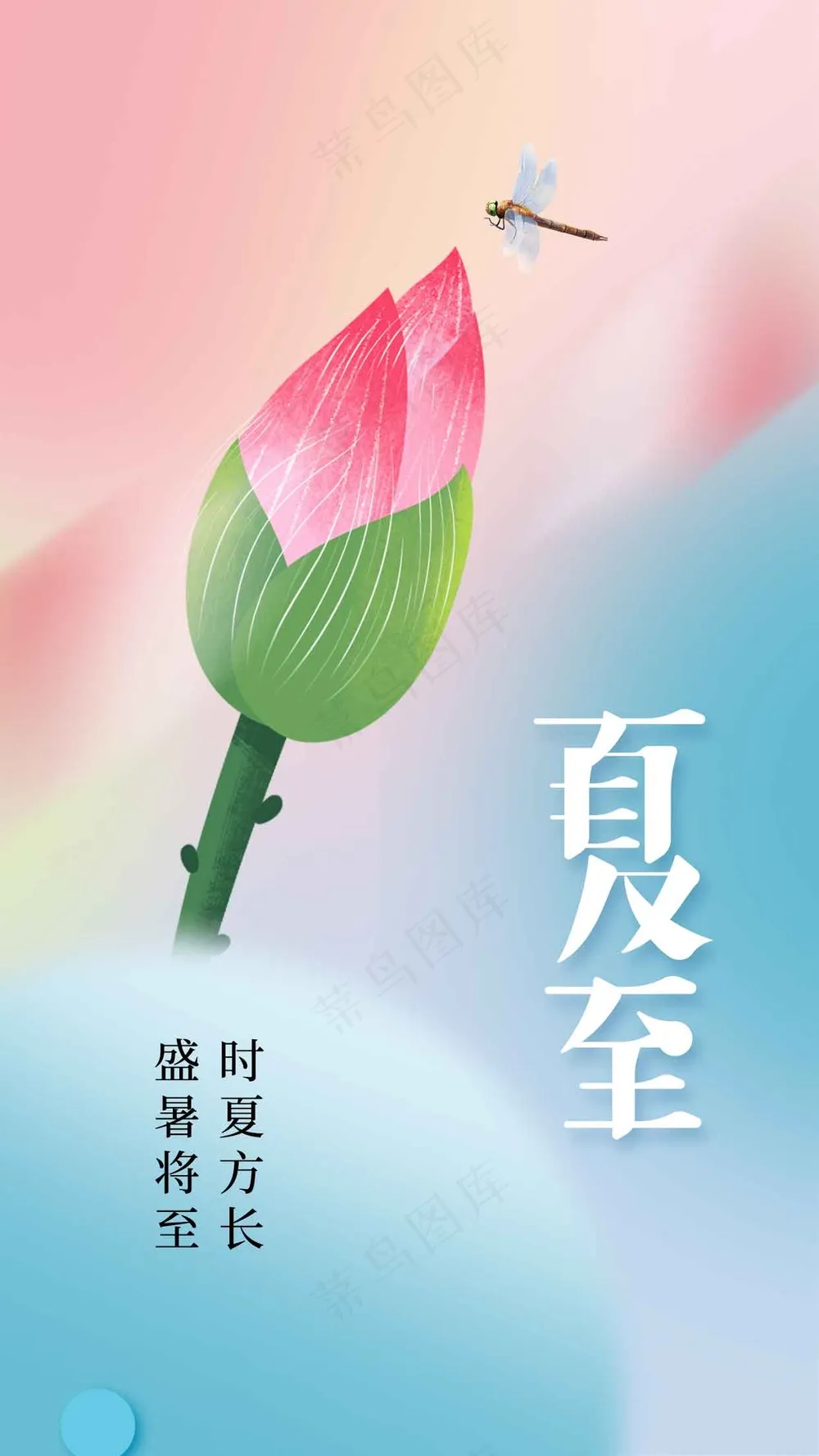 简约夏至节气传统活动海报