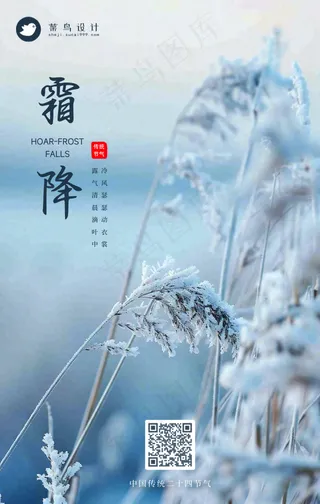 霜降手机海报