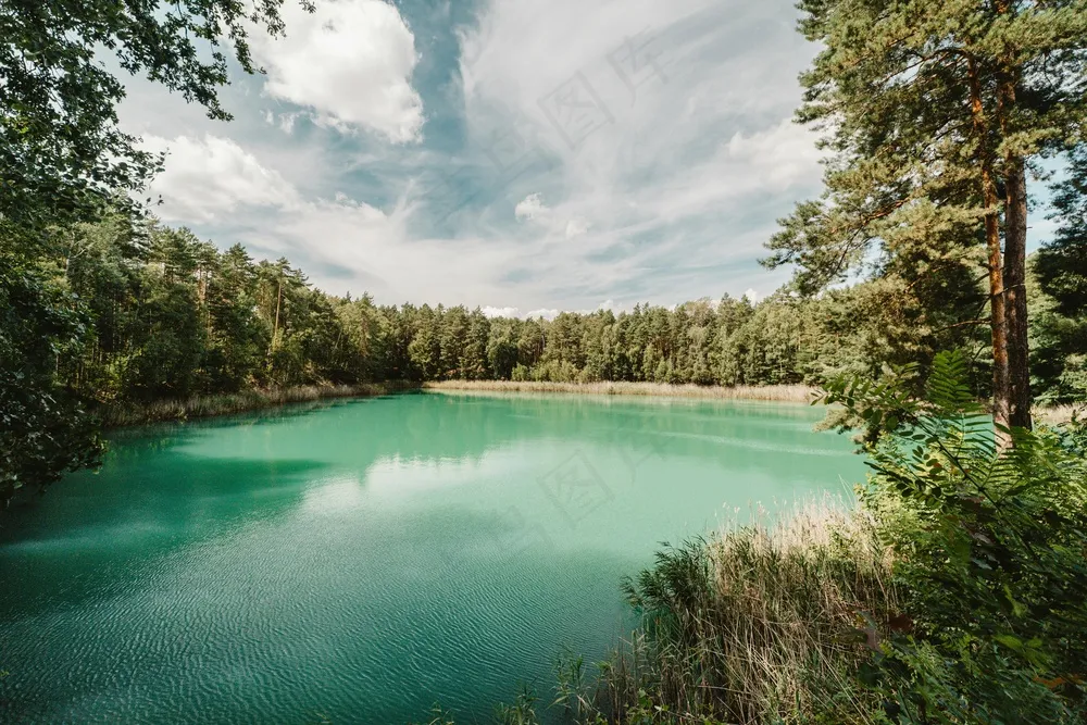 翠绿湖泊的宁静天堂
