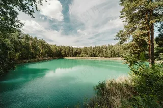 翠绿湖泊的宁静天堂