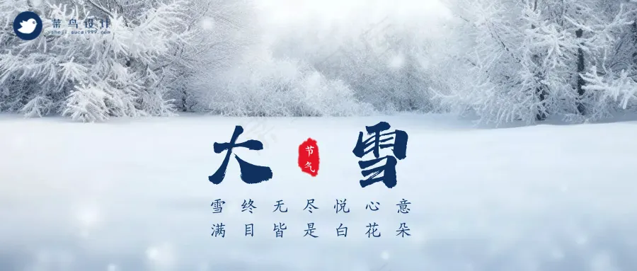 大雪公众号首图