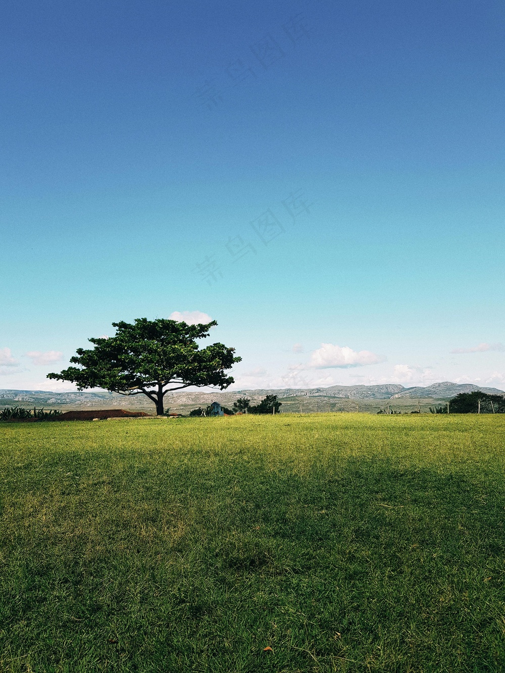 孤树静谧蓝绿景·自然风·蓝绿交织·宁静装饰