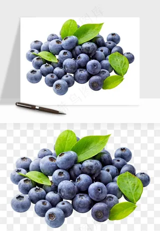 蓝莓水果png免抠