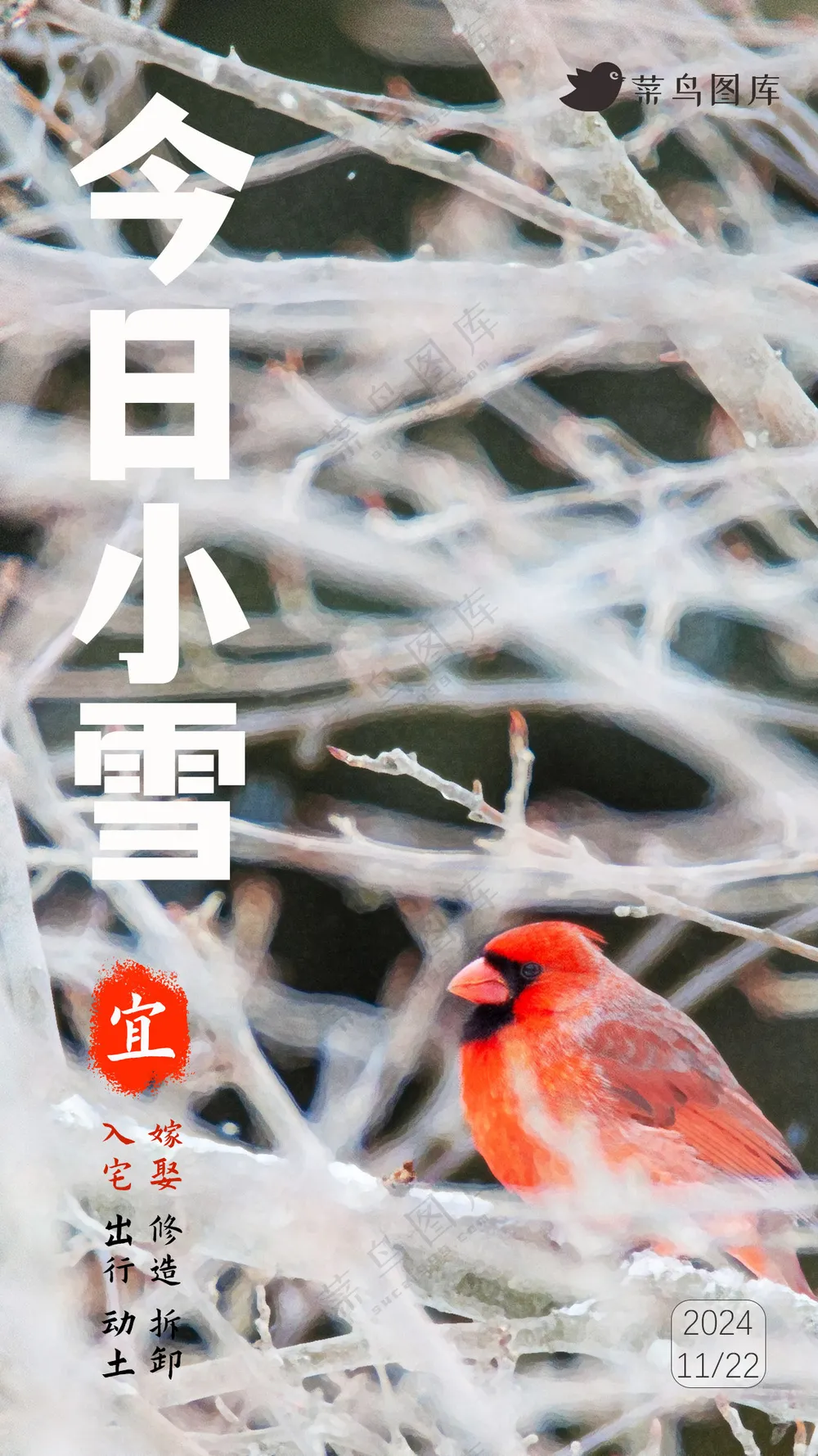 24年小雪节气主题简约风海报