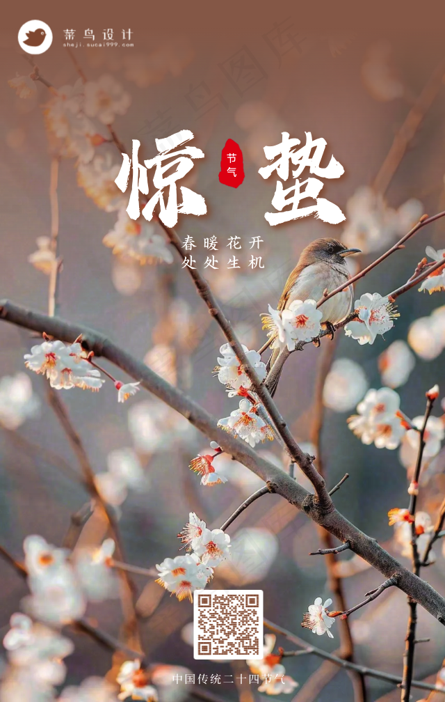 惊蛰手机海报