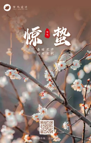惊蛰手机海报