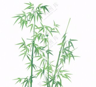 绿竹竹子绿植水墨画插画免抠