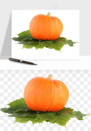 南瓜蔬菜png免抠