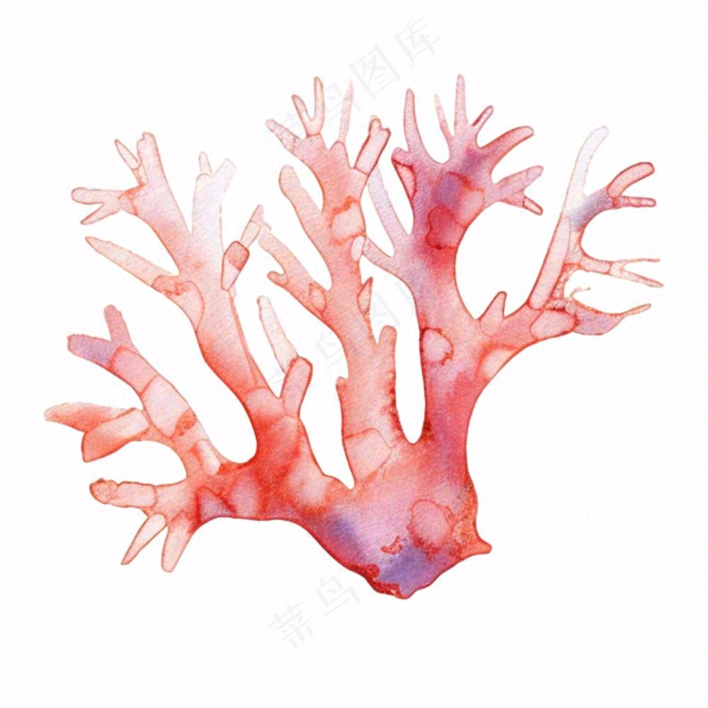 海洋海藻珊瑚植物卡通插画免抠